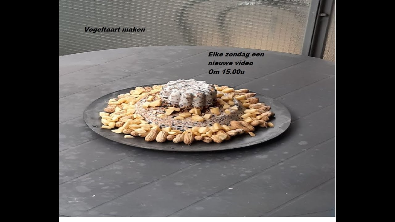 Video 1: vogeltaart