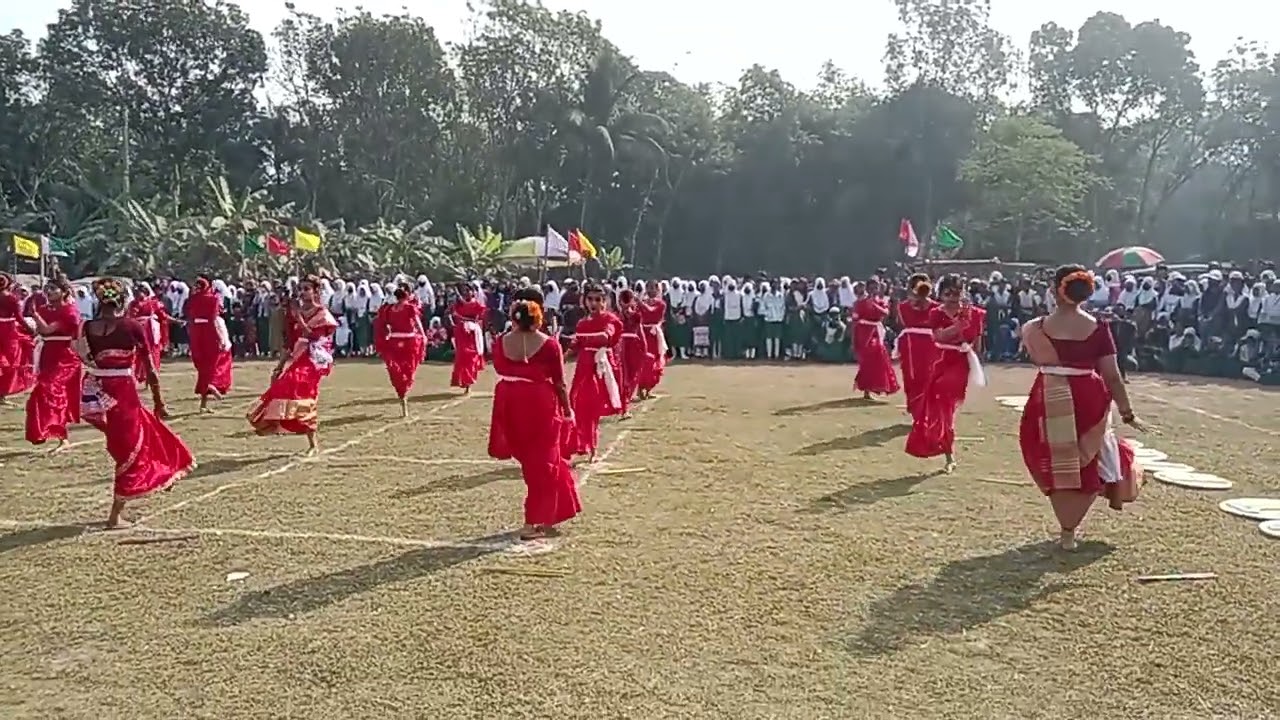 বাগাট উচ্চ বিদ্যালয়ের মেয়ে শিক্ষার্থীদের দারুণ ডিসপ্লে 