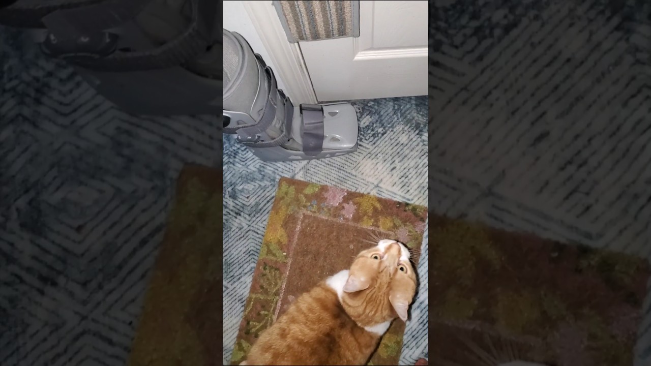 Линк — умный человек.