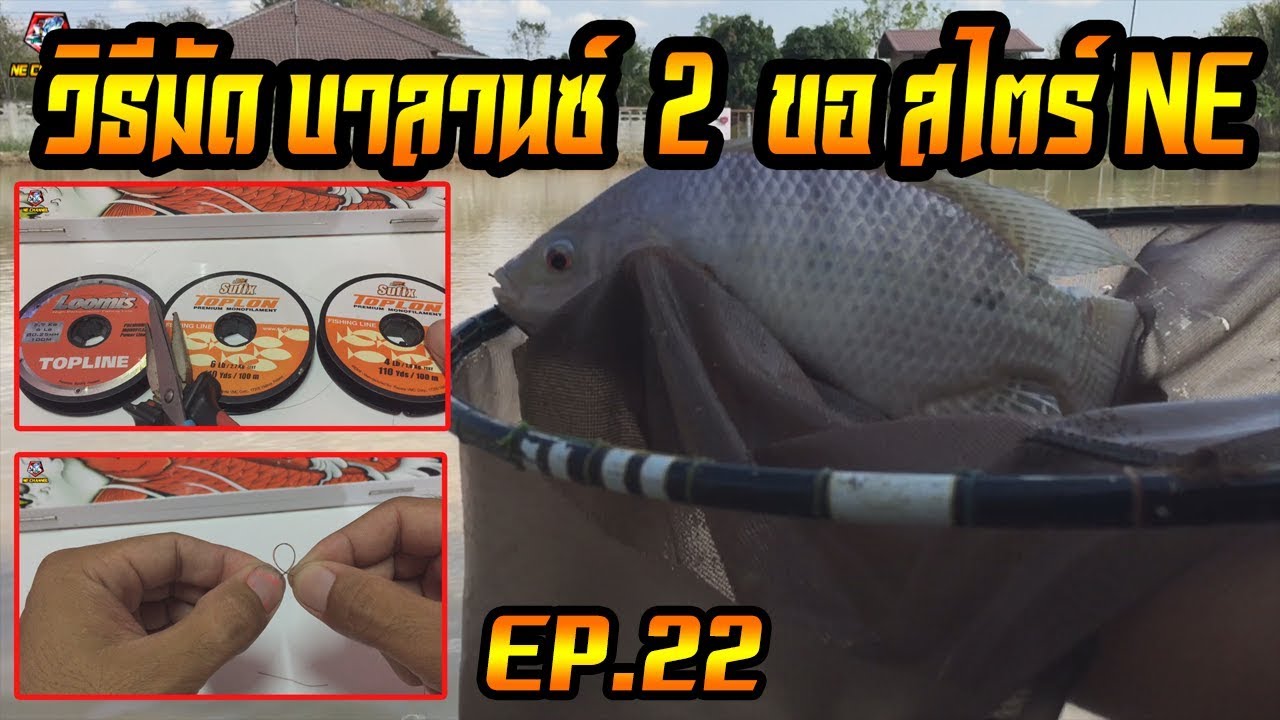 ตกชิงหลิว วิธีการมัด บาลานซ์ 2 ขอ ง่ายๆสไตร์ NE พร้อมอาการทุ่นทั้ง 2 ขอ EP.22