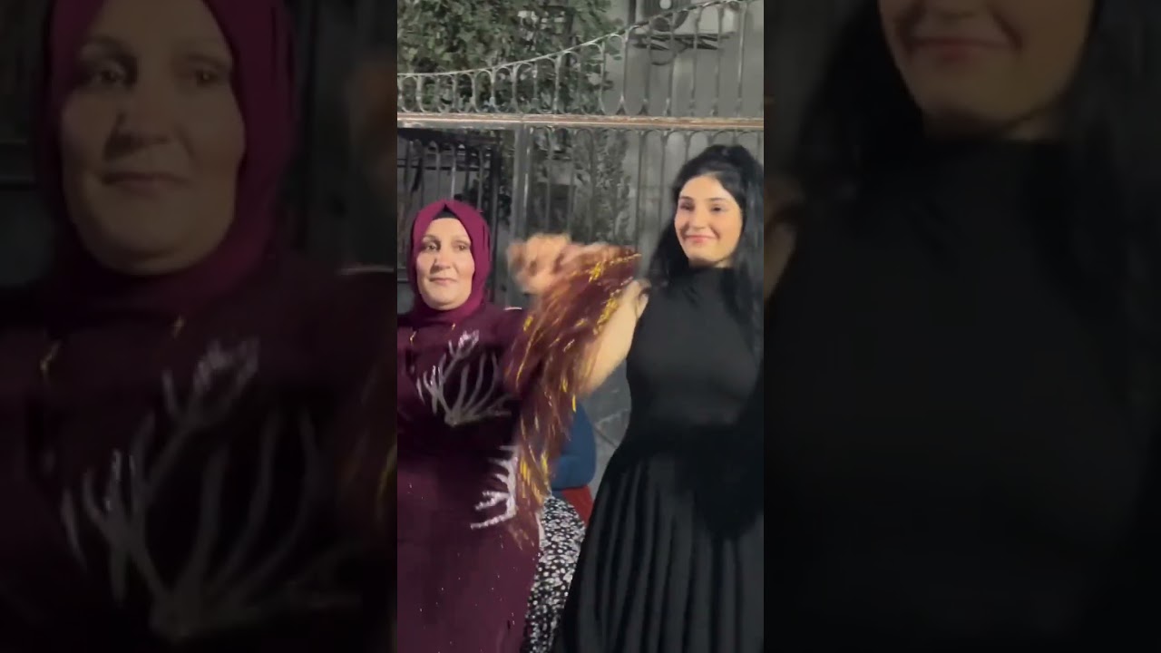 Yunus Ordu ve Ekibi Shexani Delilo Halay