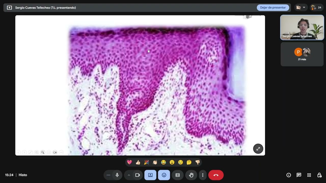 Introducción a la Histología