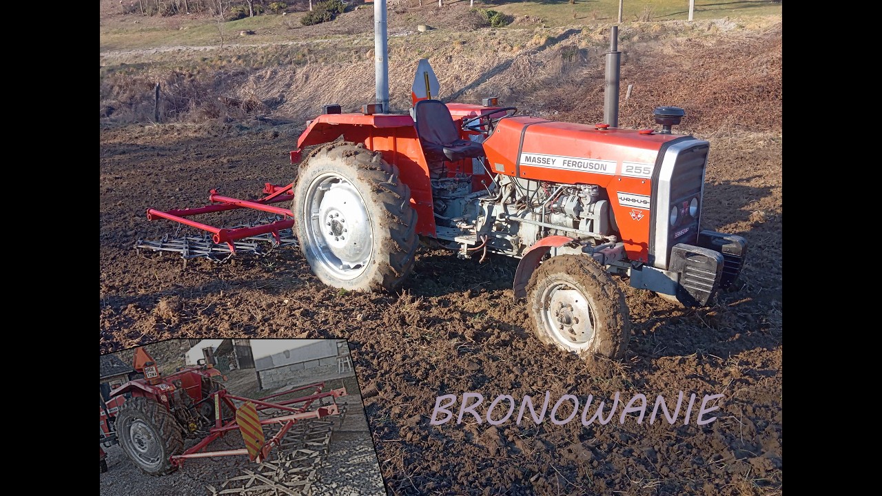 🌾☆PRACE POLOWE ☆🔥😀czyli bronowanie / Massey Ferguson 255 & Brona ciężka POM Skocz&oacute;w 😱 ✅ SEZON 2026🔥