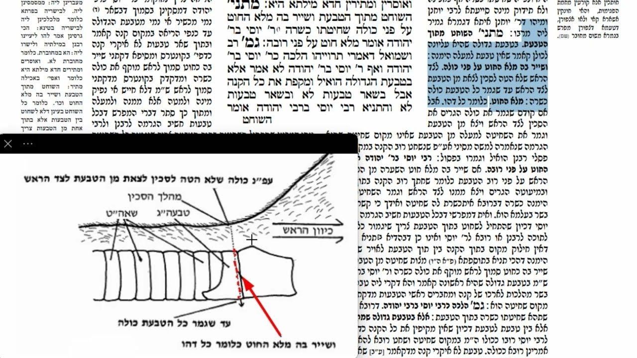 דף יומי מסכת חולין דף יח Daf yomi Masechet Chulin page 18  ע