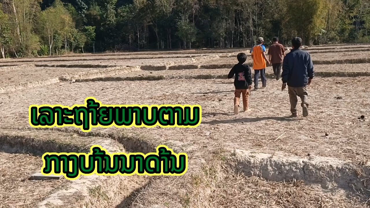 ເລາະຖາ້ຍພາບຕາມກາງບາ້ນ