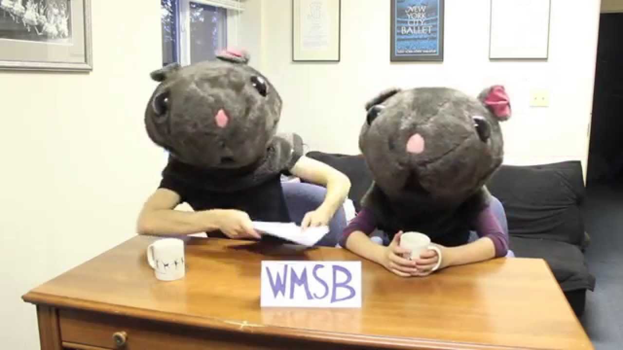 Maine State Ballet: Nutcracker Mouse Report 2014