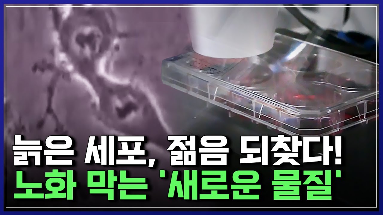 &ldquo;늙은 세포가 다시 젊어진다?!&rdquo; 세계가 놀란 발견, 장수의 비밀이 풀렸다 [반복재생] / YTN 사이언스