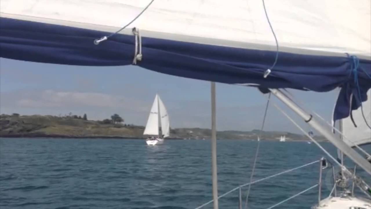 Calves Week, Schull 2013