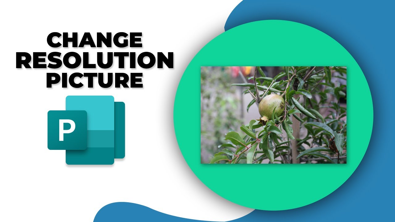 How to change the resolution of a picture in Publisher