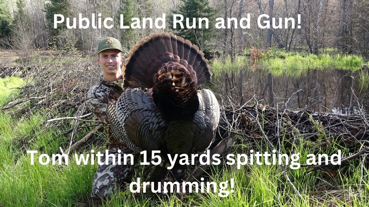 Michigan Upper Peninsula Public Land Turkey Hunt