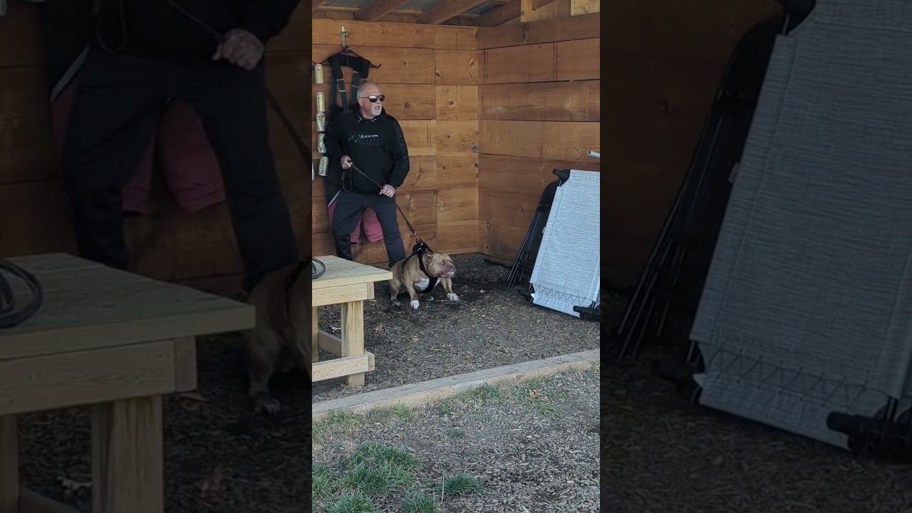 Protection Training Pocket Bully