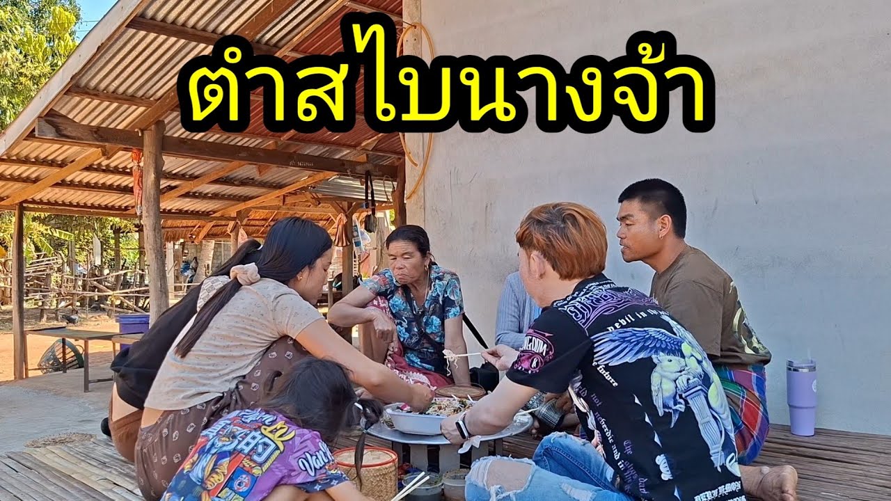 ตำสไบนางชุมแชวแมวโพงกันจ้า