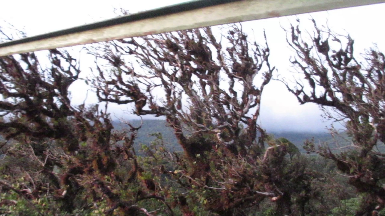 Sky Tram Monteverde