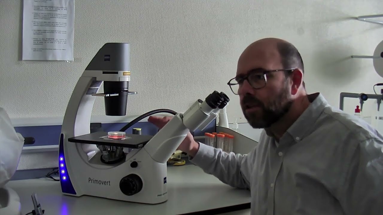 El microscopio invertido