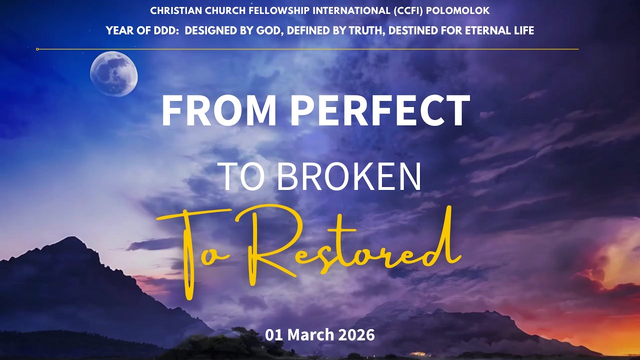 Year of DDD: From Perfect, To Broken, To Restored
