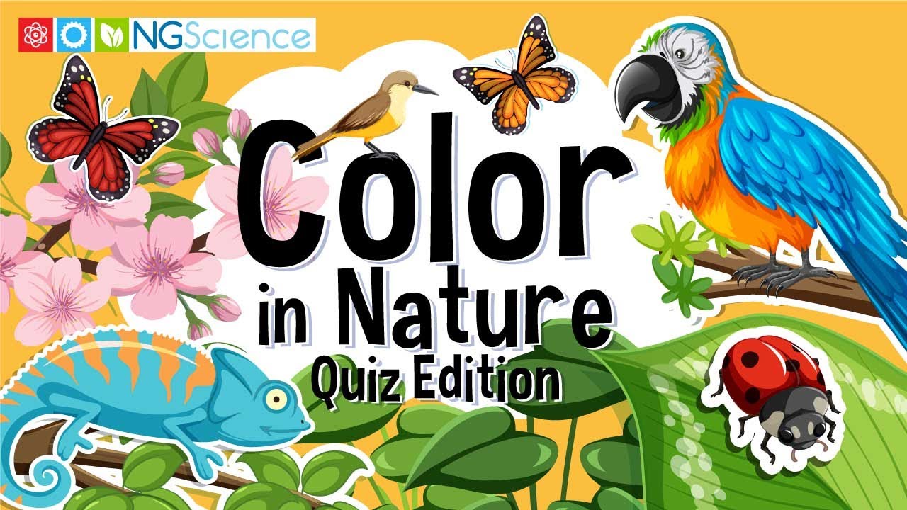 Color in Nature &ndash; Quiz Edition