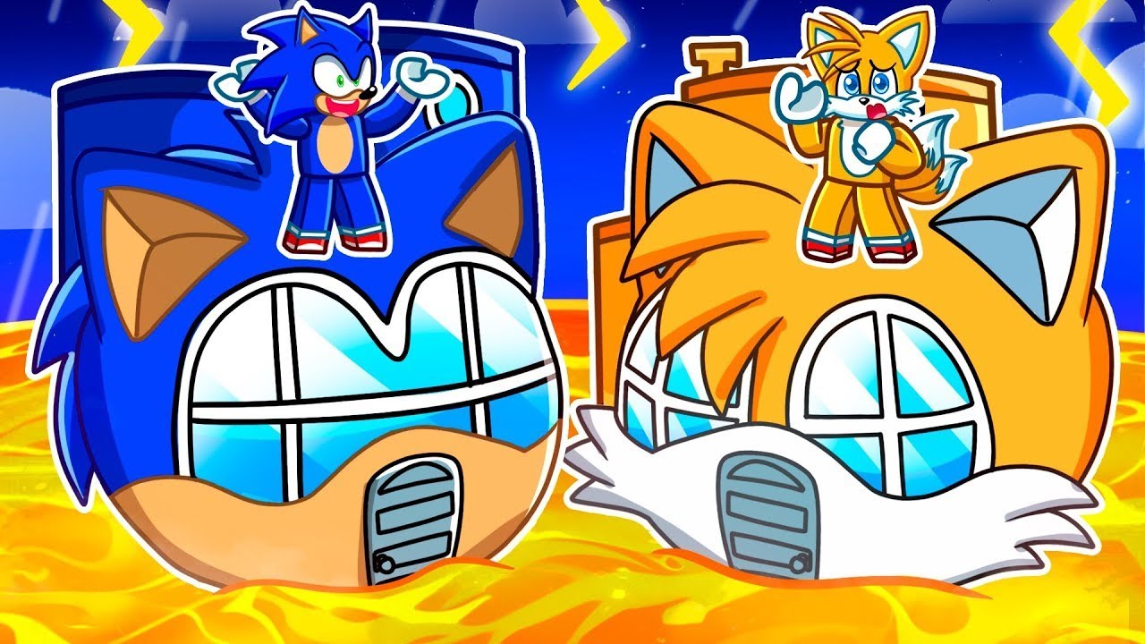 Maison de SONIC et TAILS contre CATASTROPHE NATURELLE !