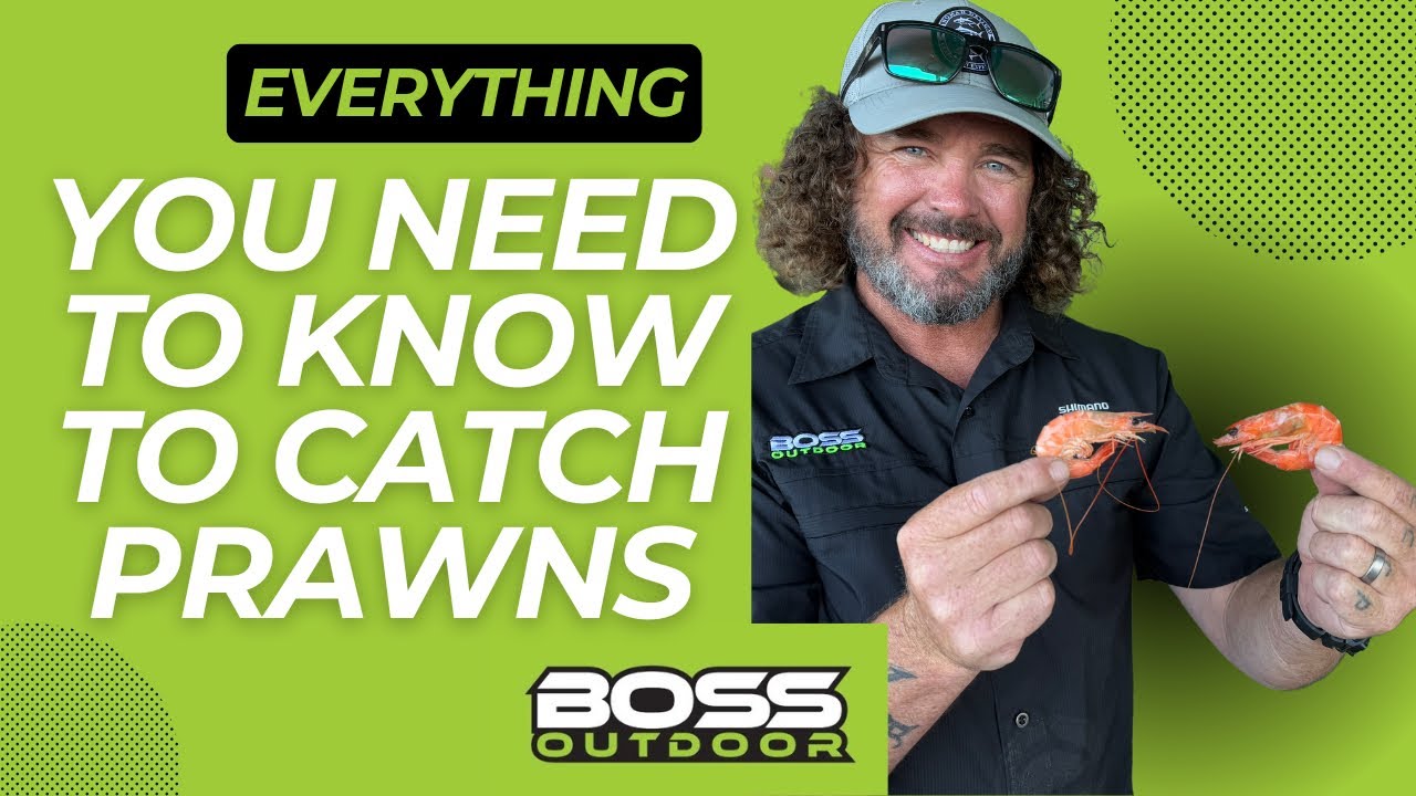 Everything You Need To Know To Catch Prawns