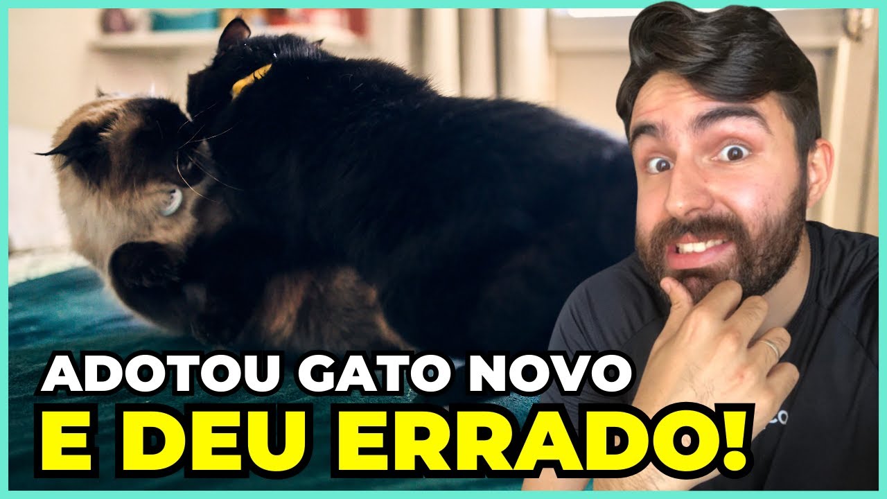 Ajudando Inscritos Ep.01: Introdução Que Deu Errado