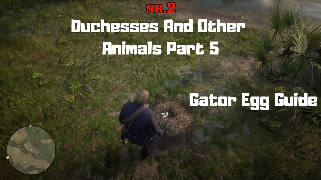 RDR2 - Duchesses And Other Animals Part 5 - Gator Egg Guide