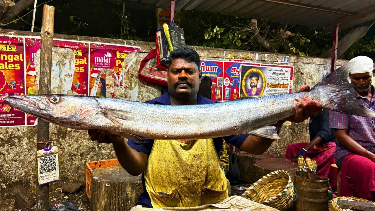 KASIMEDU SPEED SELVAM SHEELA FISH 🐟 CUTTING VIDEO \ CUTTING FOCUS
