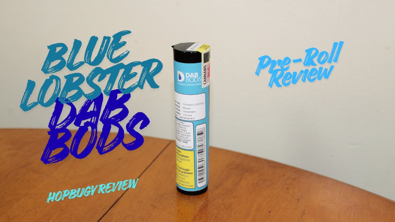 Blue Lobster 60s+ DBL Infused Dab Bods Pre Rolls Review