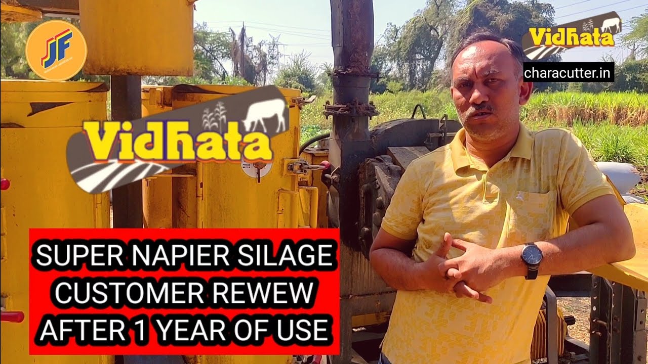 Making Super Napier silage - Customer rewew-Vidhata Silopack 📞 1800-309-3852