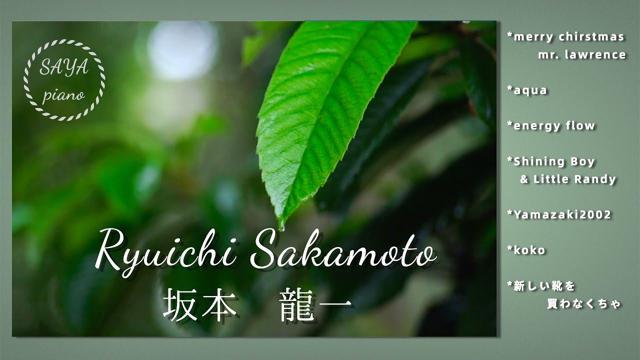 【坂本龍一】癒しの雨と坂本龍一ピアノメドレー【睡眠用,作業用BGM】Ryuichi Sakamoto relaxing piano collection