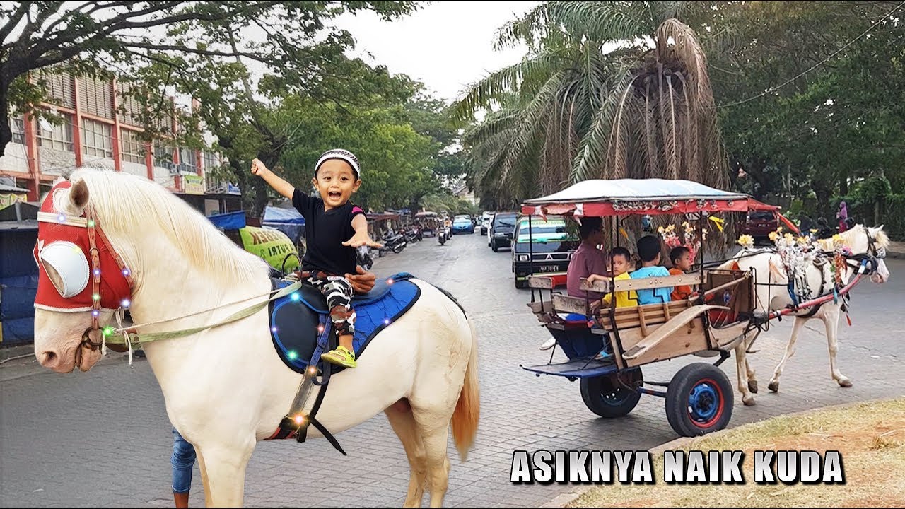 NAIK KUDA | Lagu NAIK DELMAN ISTIMEWA instrumen - Taman Permata Cikunir.