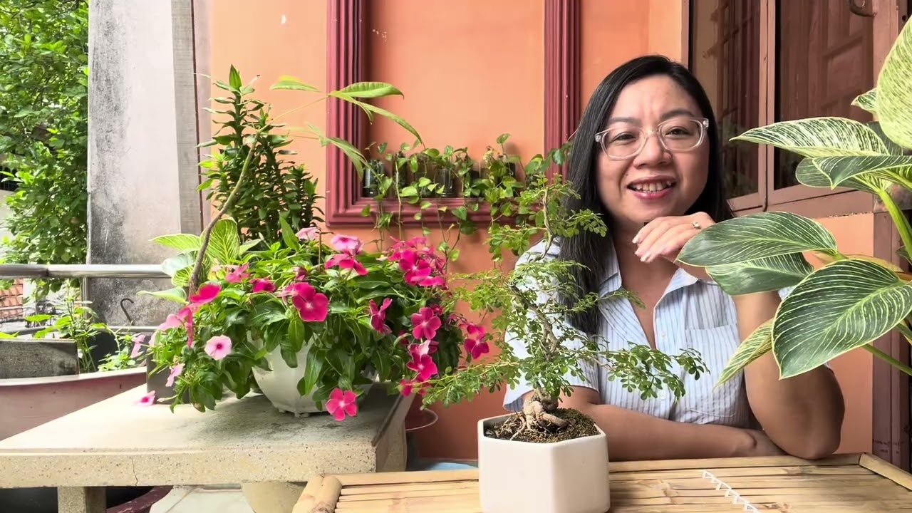 Lòng Biết Ơn và Căn Bệnh K Gan của Ba mình ❤️