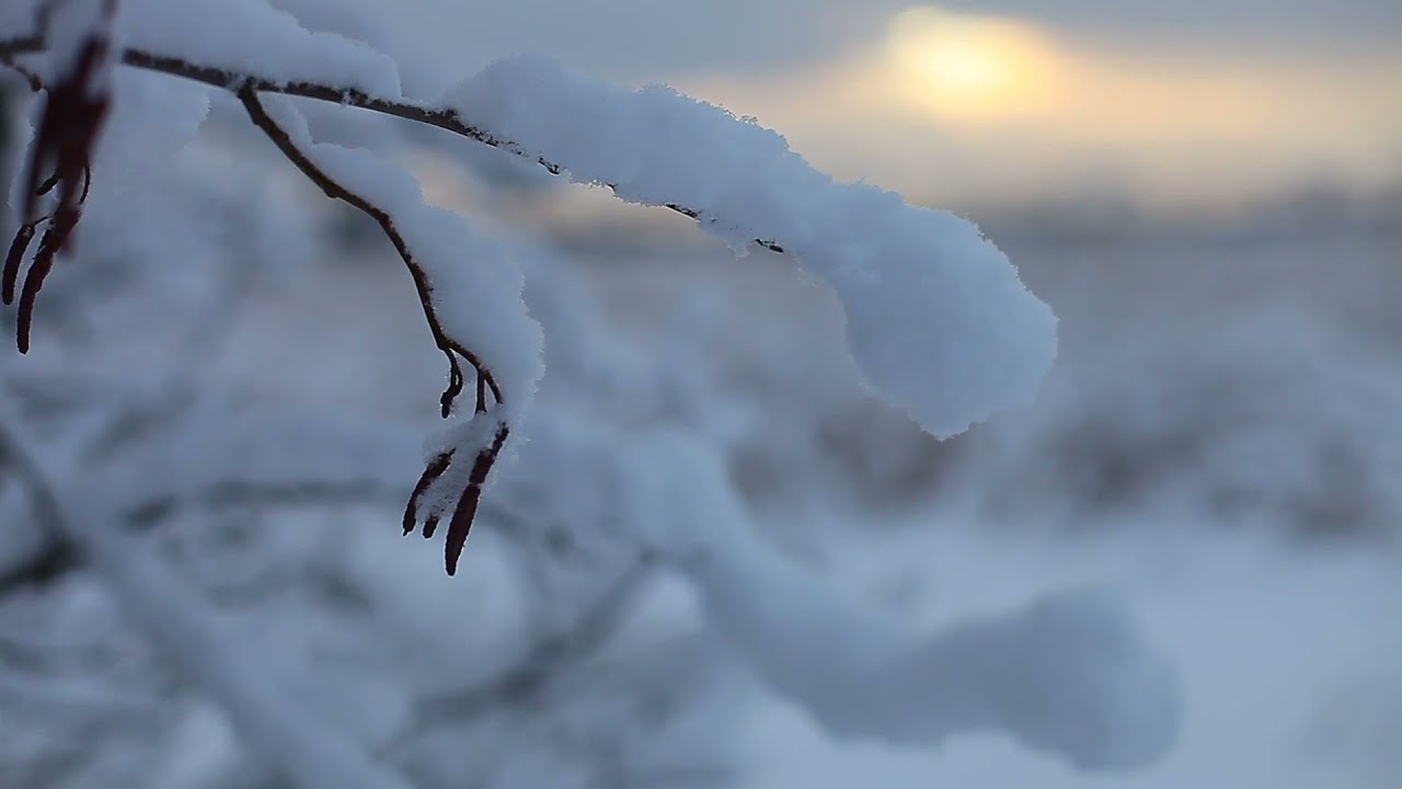 Rentoutusvideo - Talvinen luonto