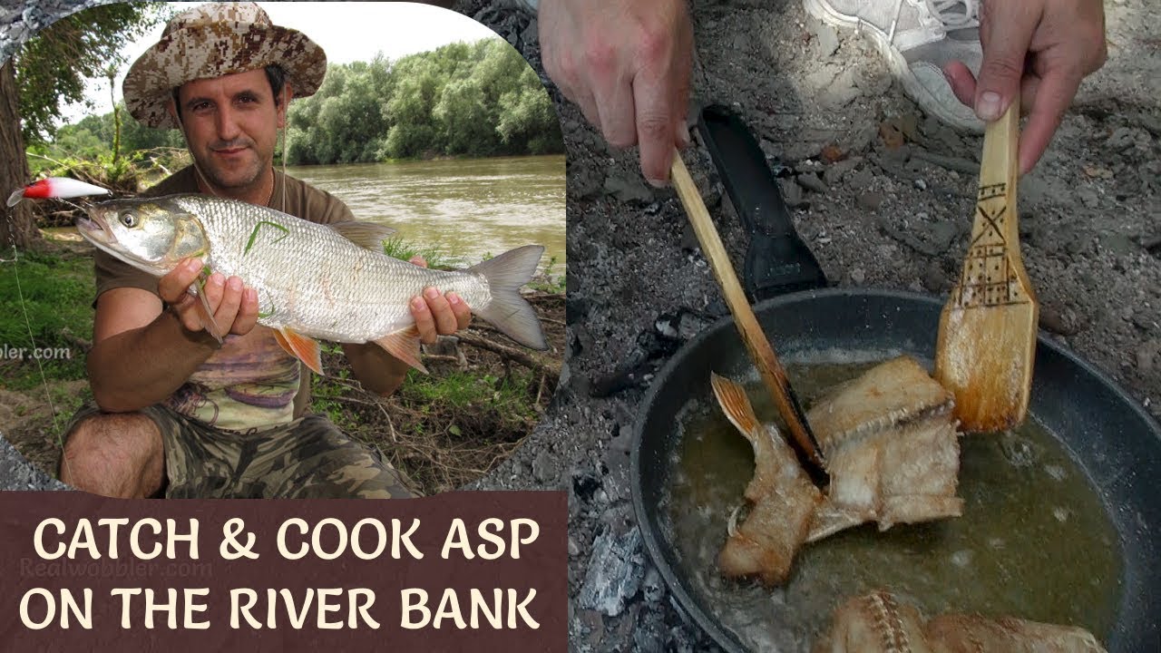 CATCH & COOK Ep. 2: ASP on the River Bank/ Rapfen Fangen und Kochen/ Хвани и Сготви Распер