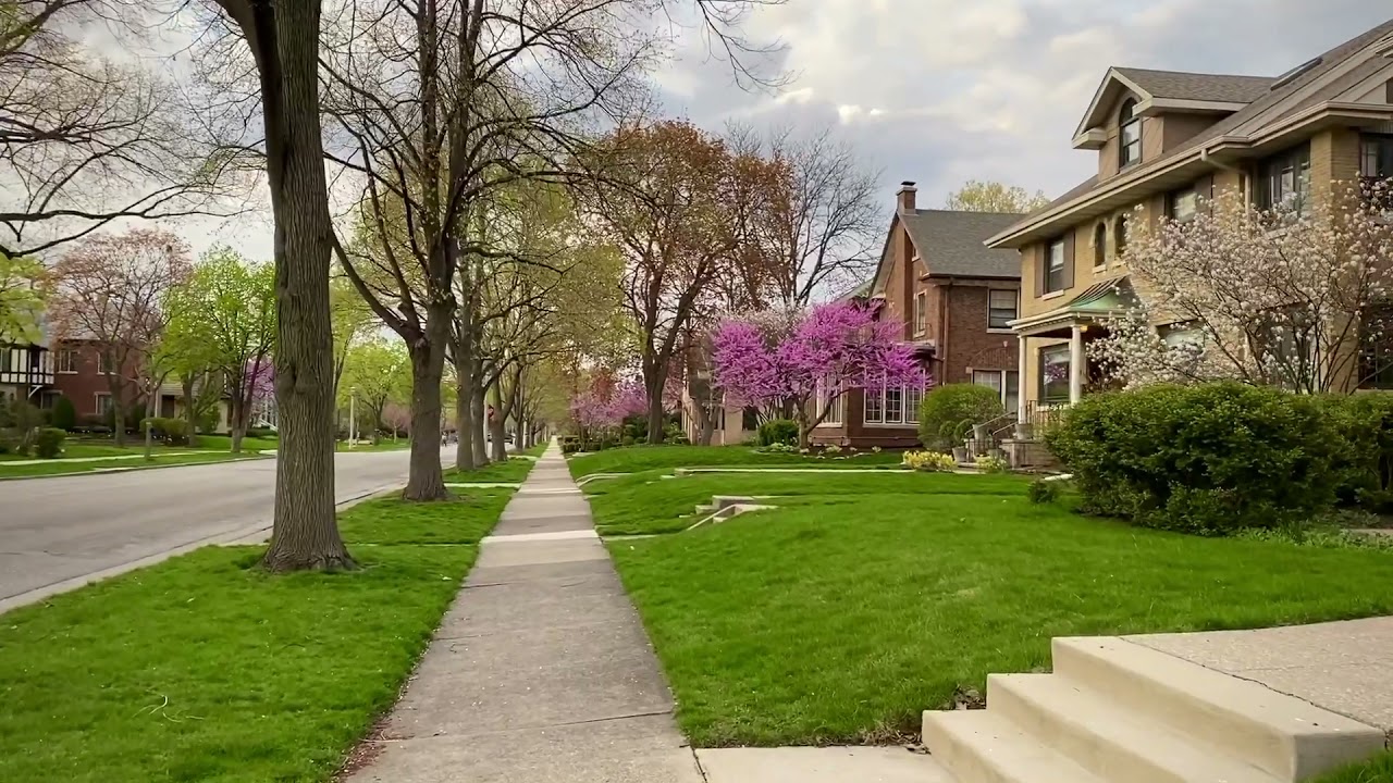 Finally Spring is here / Chicago Suburbs Illinois 2021