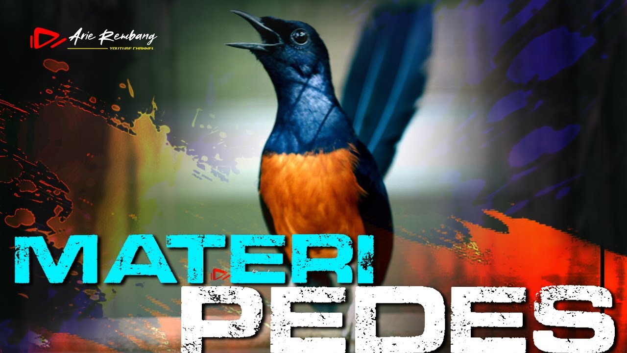 MASTERAN MURAI BATU MATERI JAMINAN PEDES