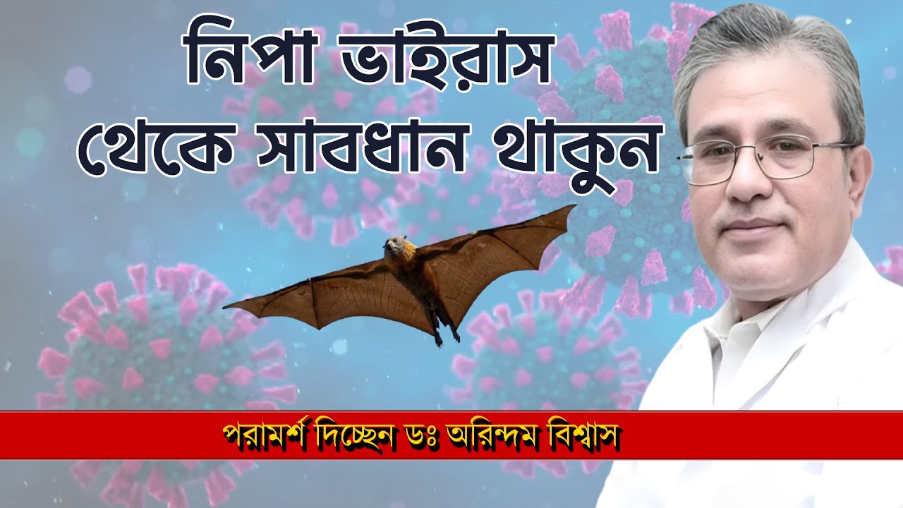 NIPAH VIRUS সতর্ক করলেন Dr. Arindam Biswas | NK Digital