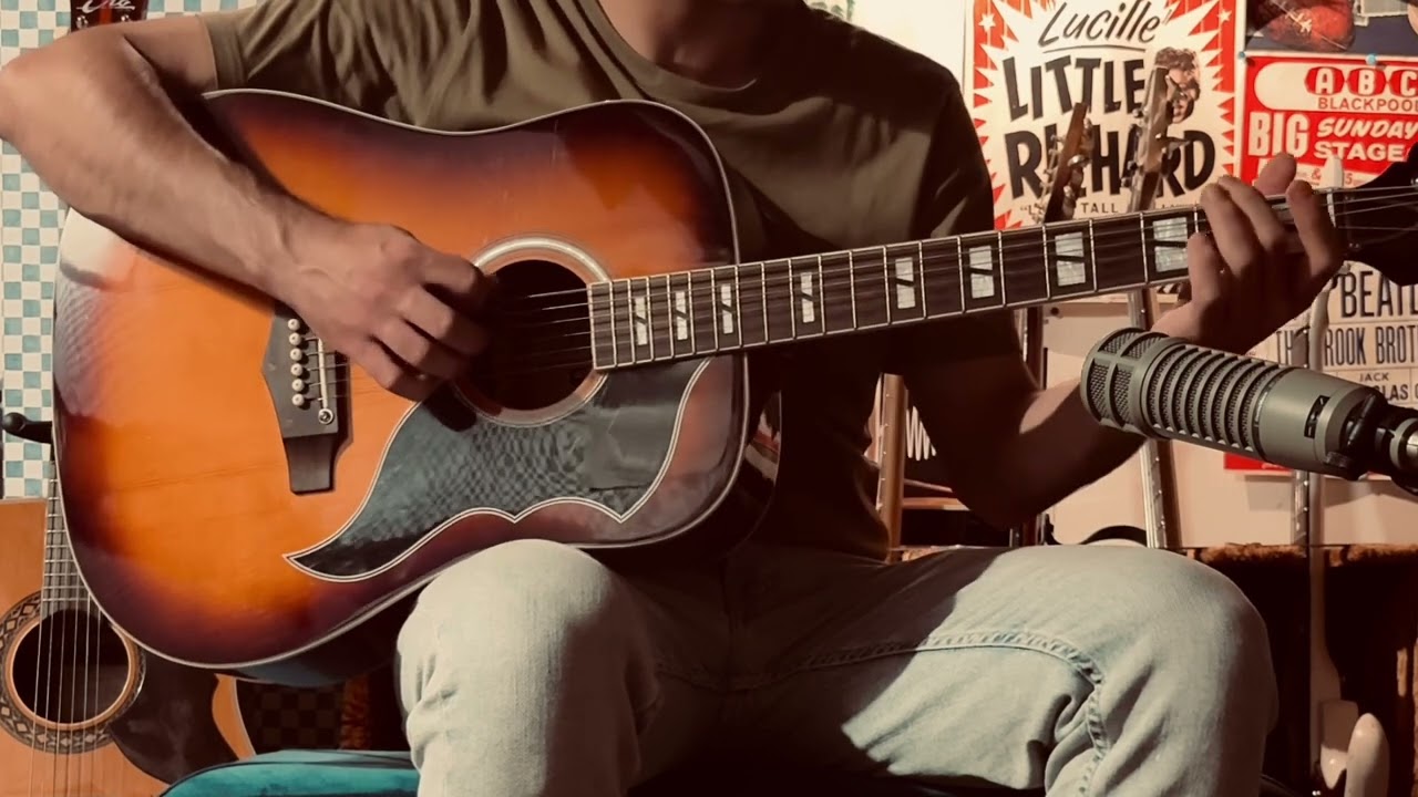Eko Ranger VI VR Honey Burst - Acoustic Guitar