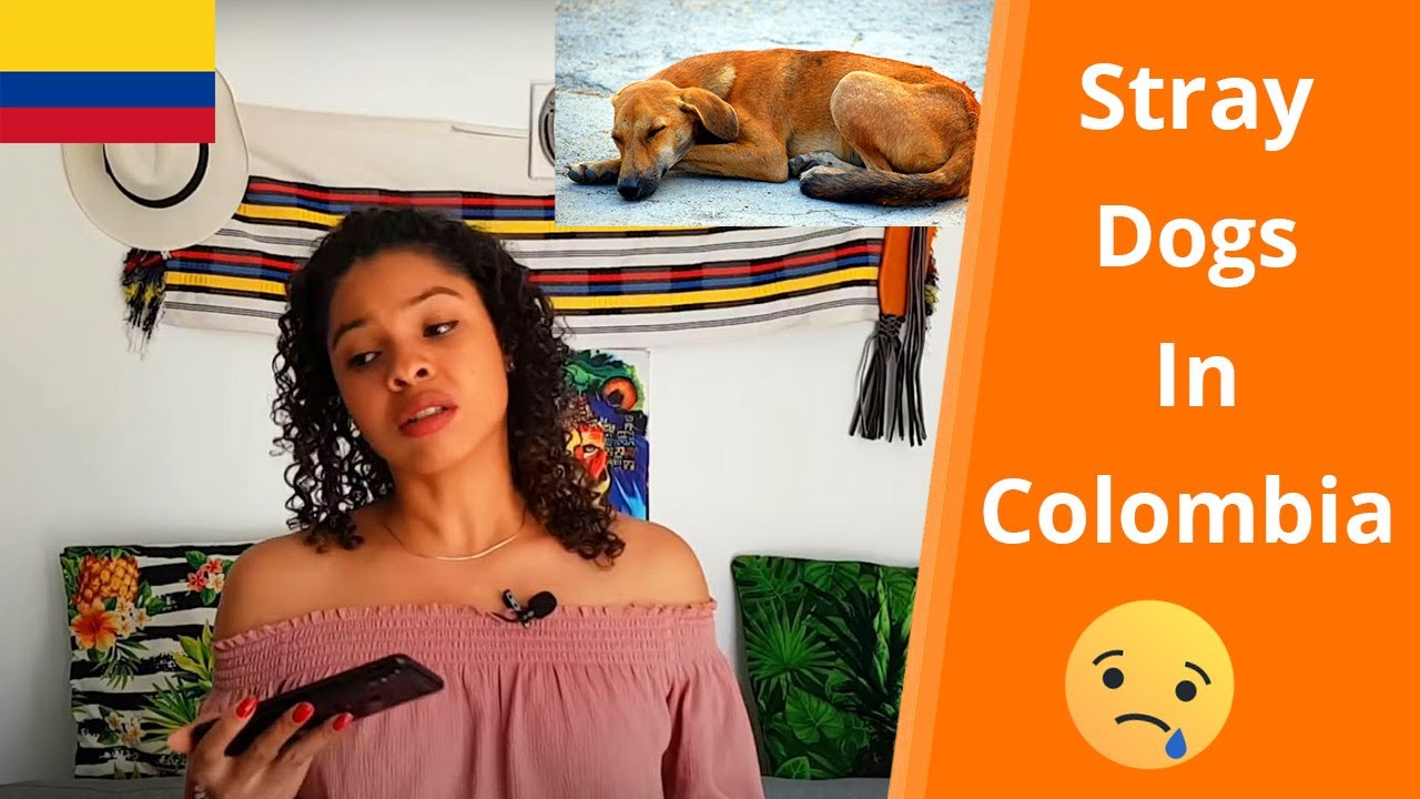 Weird Things In Colombia | 