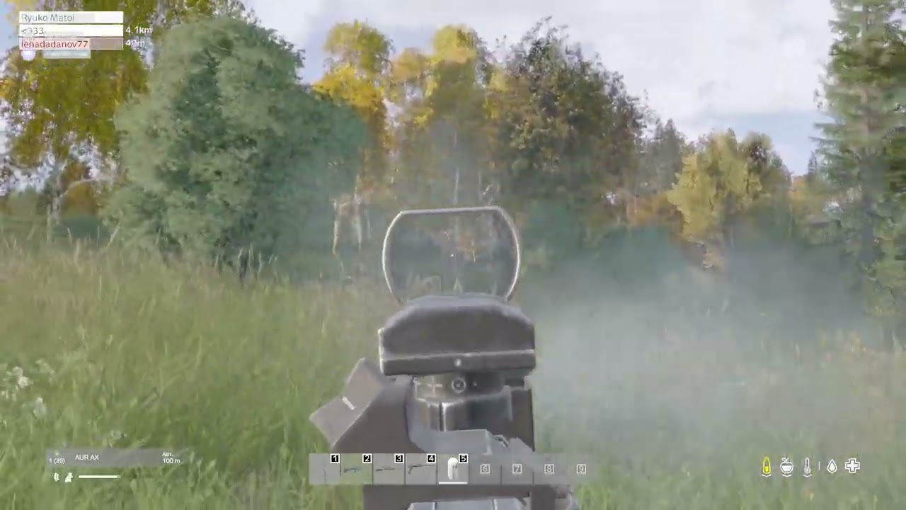 Dayz откат 1