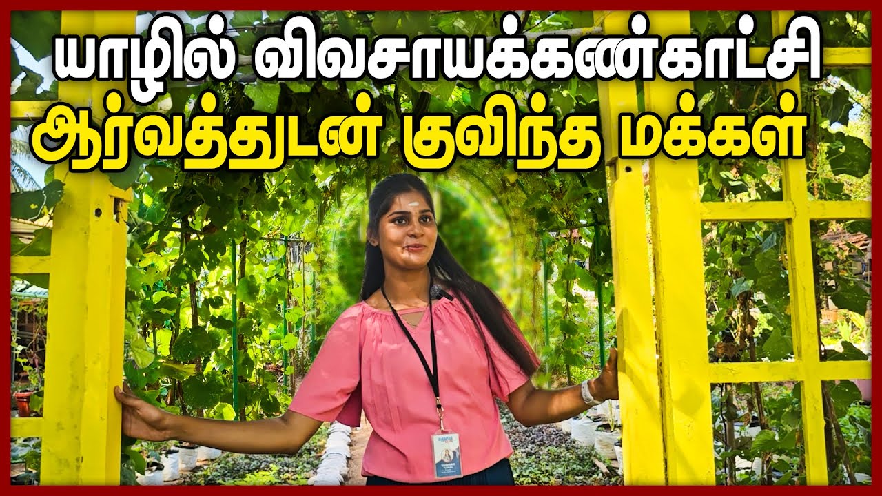 பிரமாண்டமாக யாழில் இடம்பெற்ற விவசாய கண்காட்சி | Jaffna Agricultural Exhibition