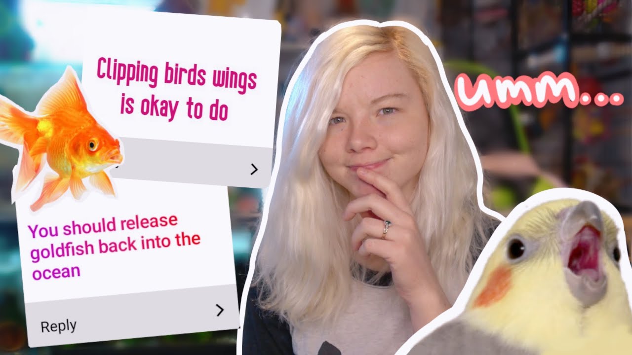 Reviewing YOUR Unpopular Pet Opinions
