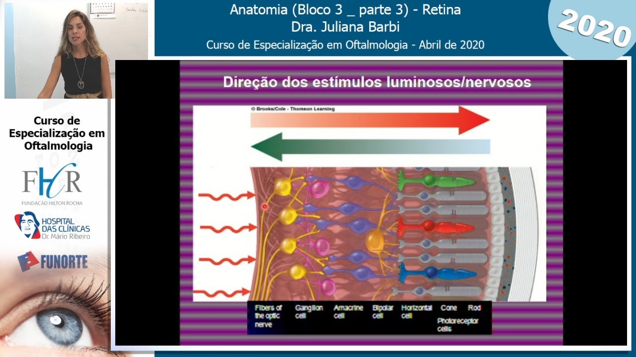 Anatomia  (Bloco 3 -  Parte 3) -  Retina - Dra. Juliana Barbi