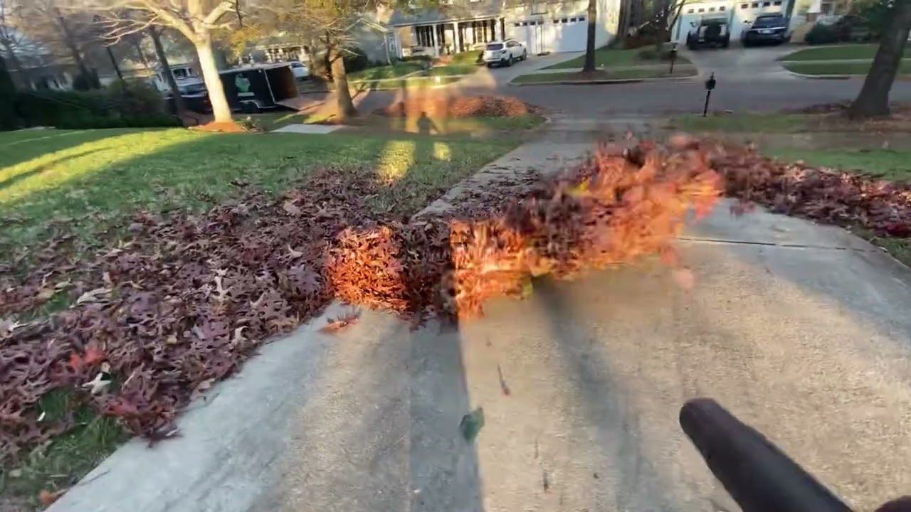 POV leafs blowing