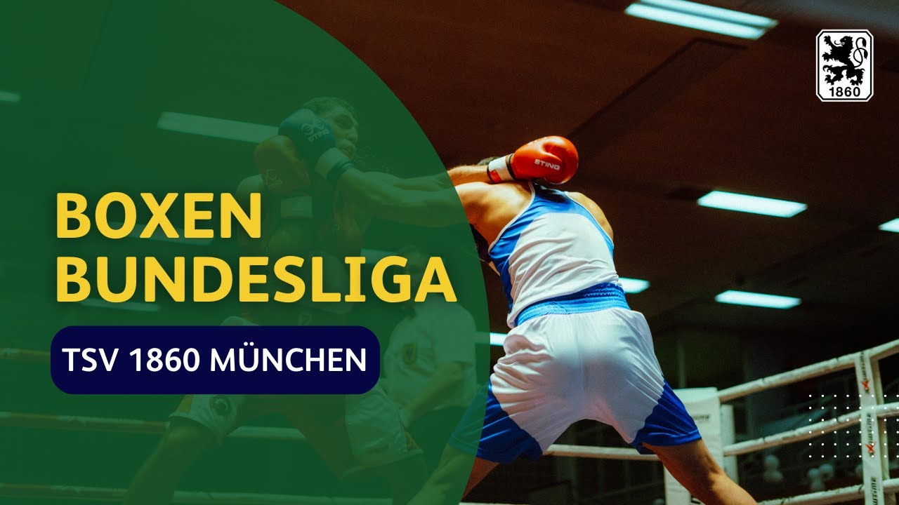 1. Bundesliga Boxen: TSV 1860 M&uuml;nchen vs. Traktor Schwerin