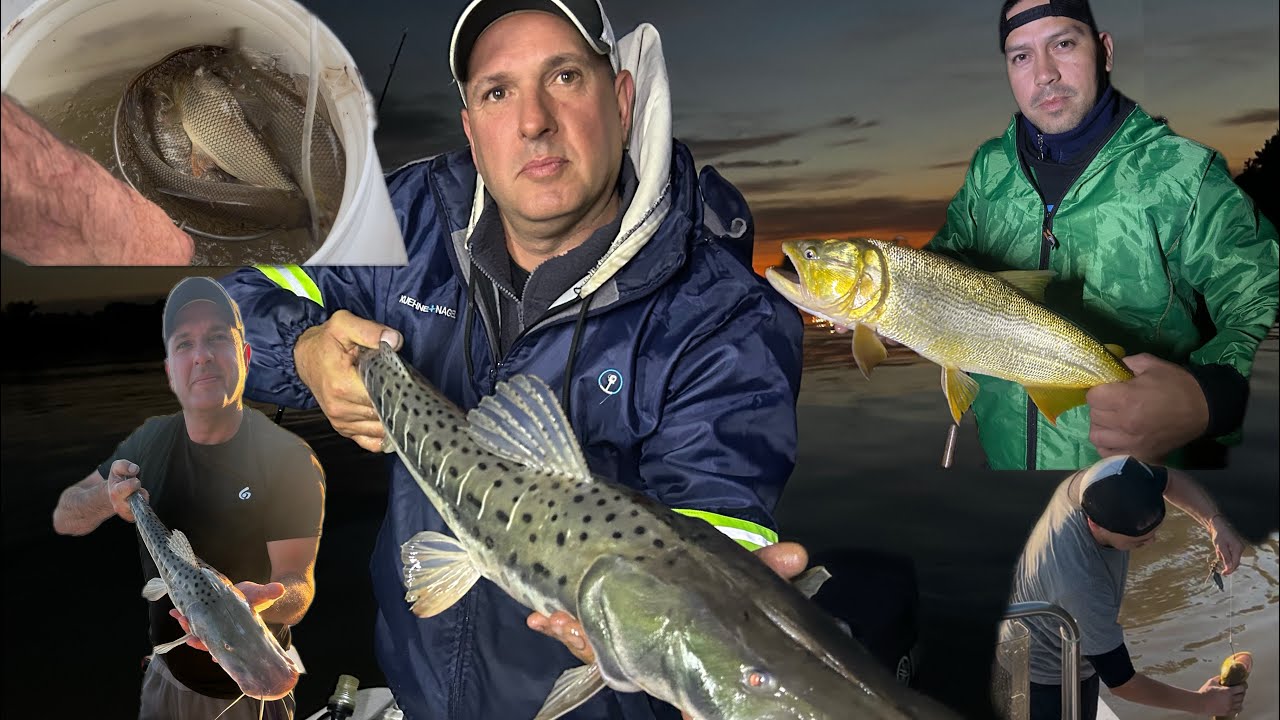 TORMENTA,LLUVIA pero EL PARANÁ SIEMPRE PAGA con PESCADO ,DORADO,SURUBI y MÁS Paraná de las palmas 