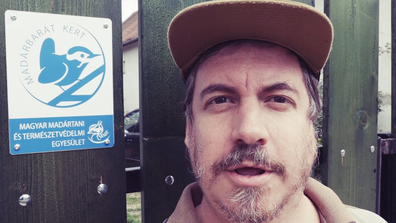 Madárbarát kert program