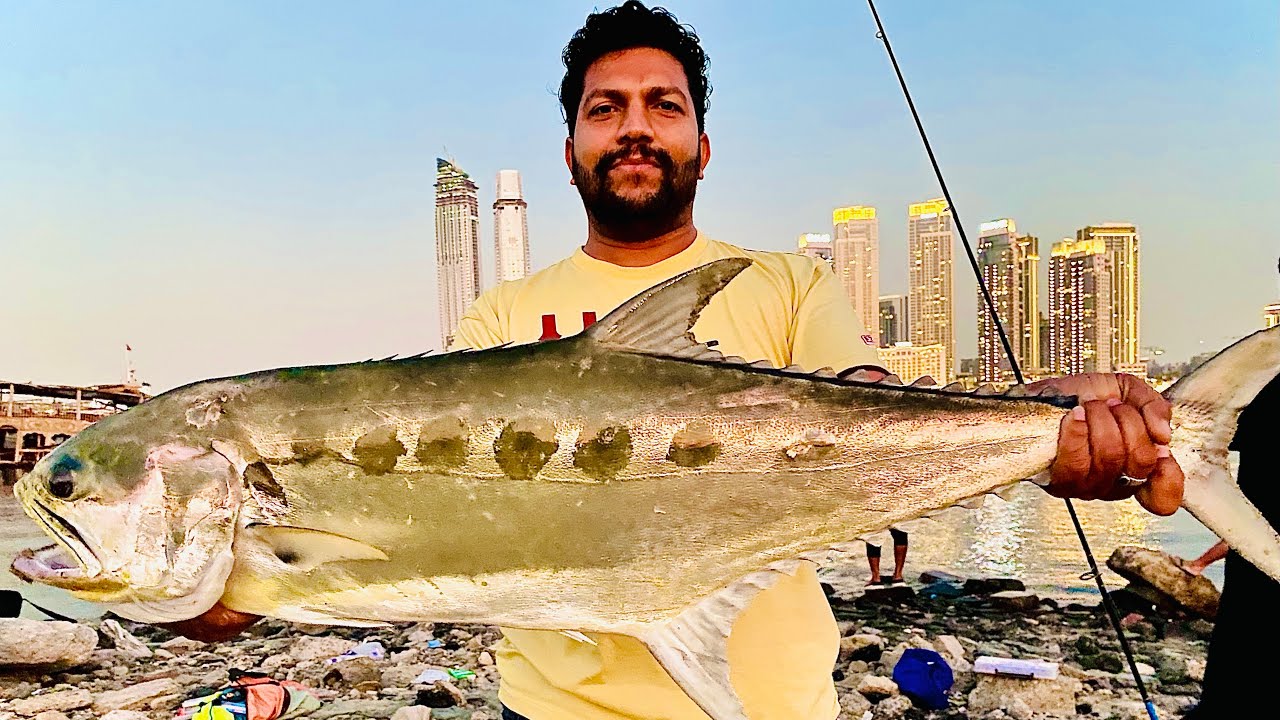 Monster Queen Fish from Dubai Canal | Shore casting | Megabass Kanata