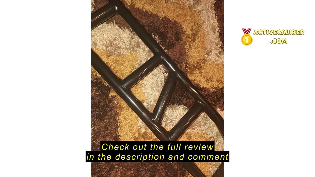 Review BDL Wall Mounted Pull Up Bar Chin Up bar Multifunctional Dip Station for Indoor Home Gym Work