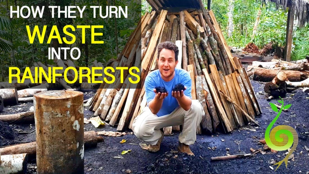 Regenerating the Amazon Rainforest using PERMACULTURE!
