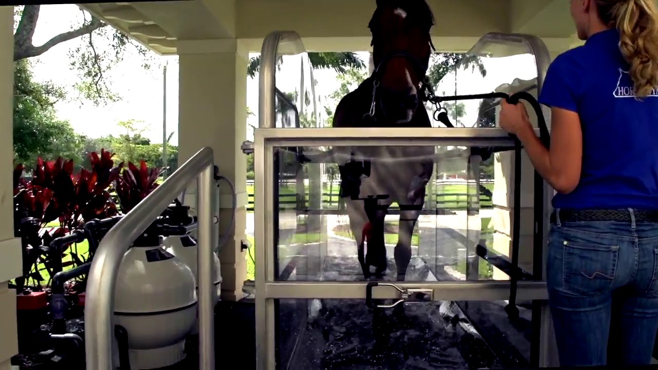 HORSE GYM USA® WATER