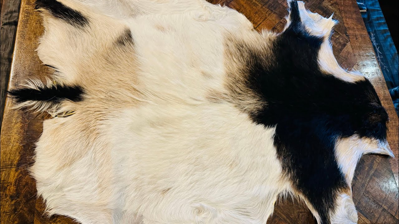 Tanning Nigerian Dwarf Goat Hides on the Homestead! | Part 2: The Finished Product